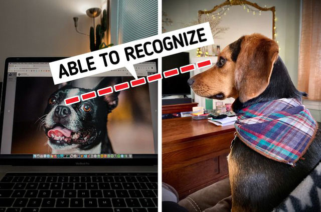 1648890398148067017.jpg 164889036082753011888.jpg