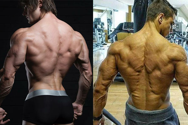 健身除了倒三角,也要让背肌长出圣诞树!