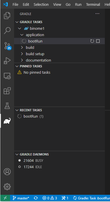 如何在Java中使用Visual