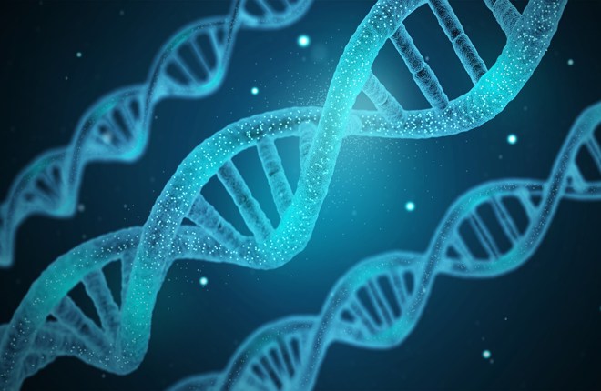 如何永久删除 Ancestry.com 帐户