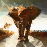 elephant polygon