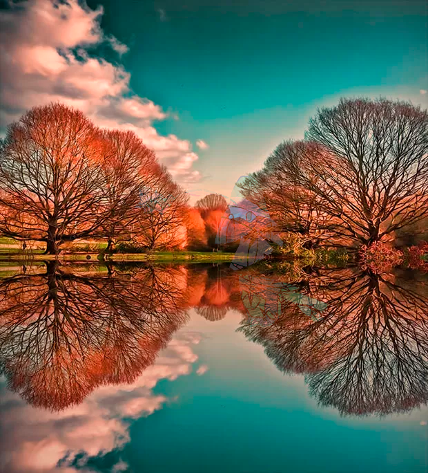 与补充影像的背景隔离