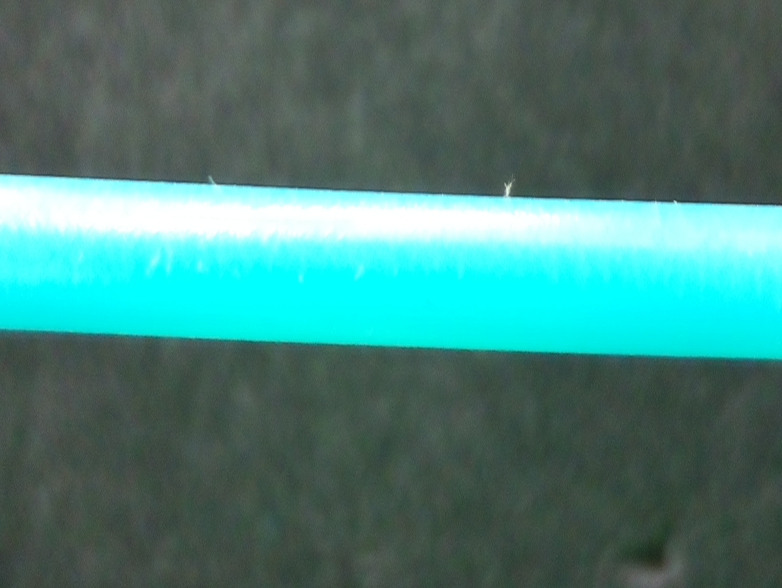 使用 DipLib (PyDIP) 测量两条线之间的距离