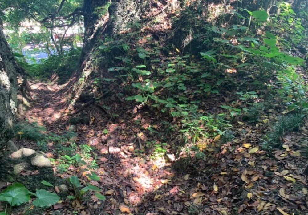 1635772466893027325.jpg 1635772466893027325.jpg