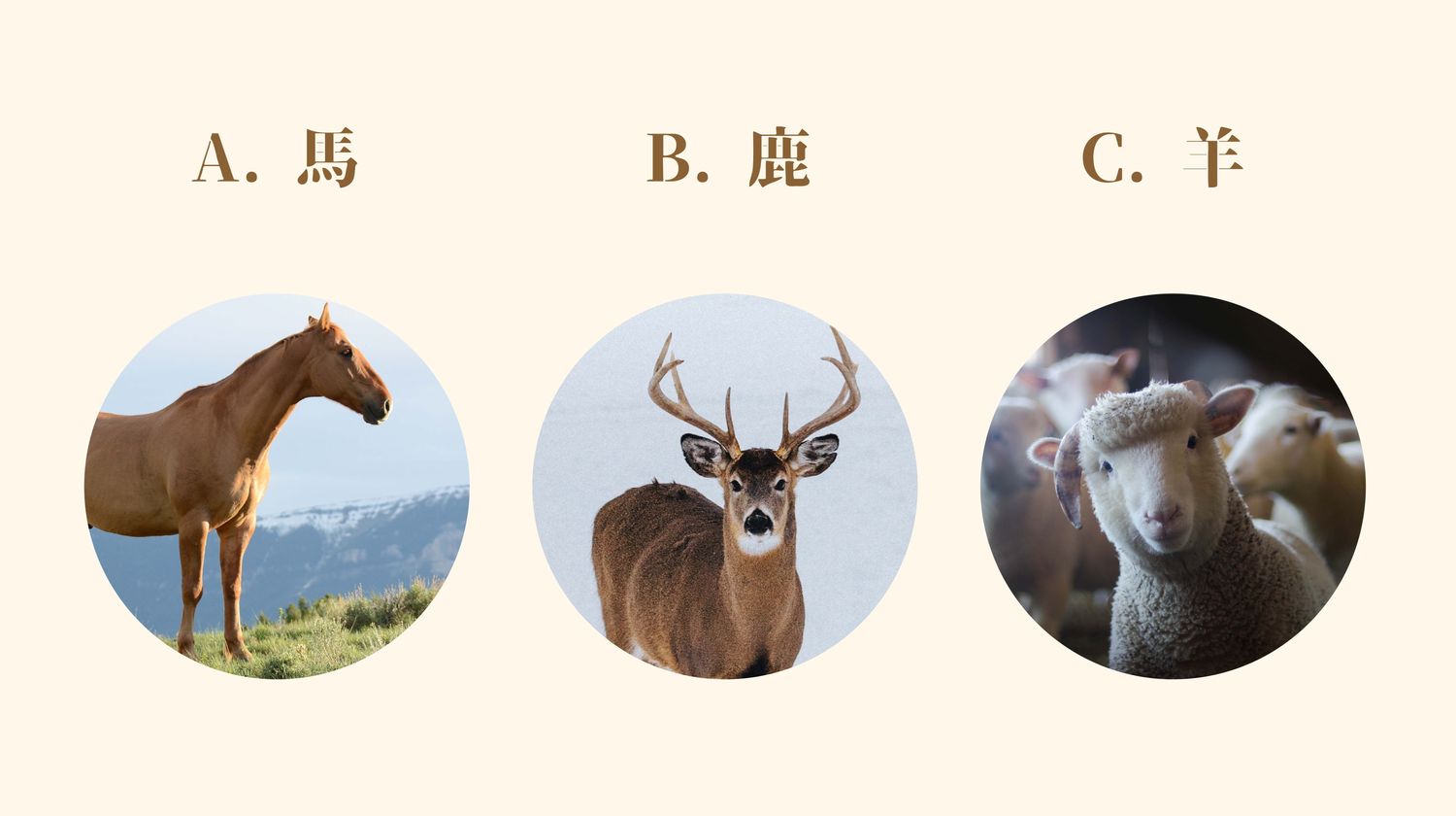 1641828922169017311.jpeg 388f0229-09e4-4668-b8b1-6facc386de82.jpeg