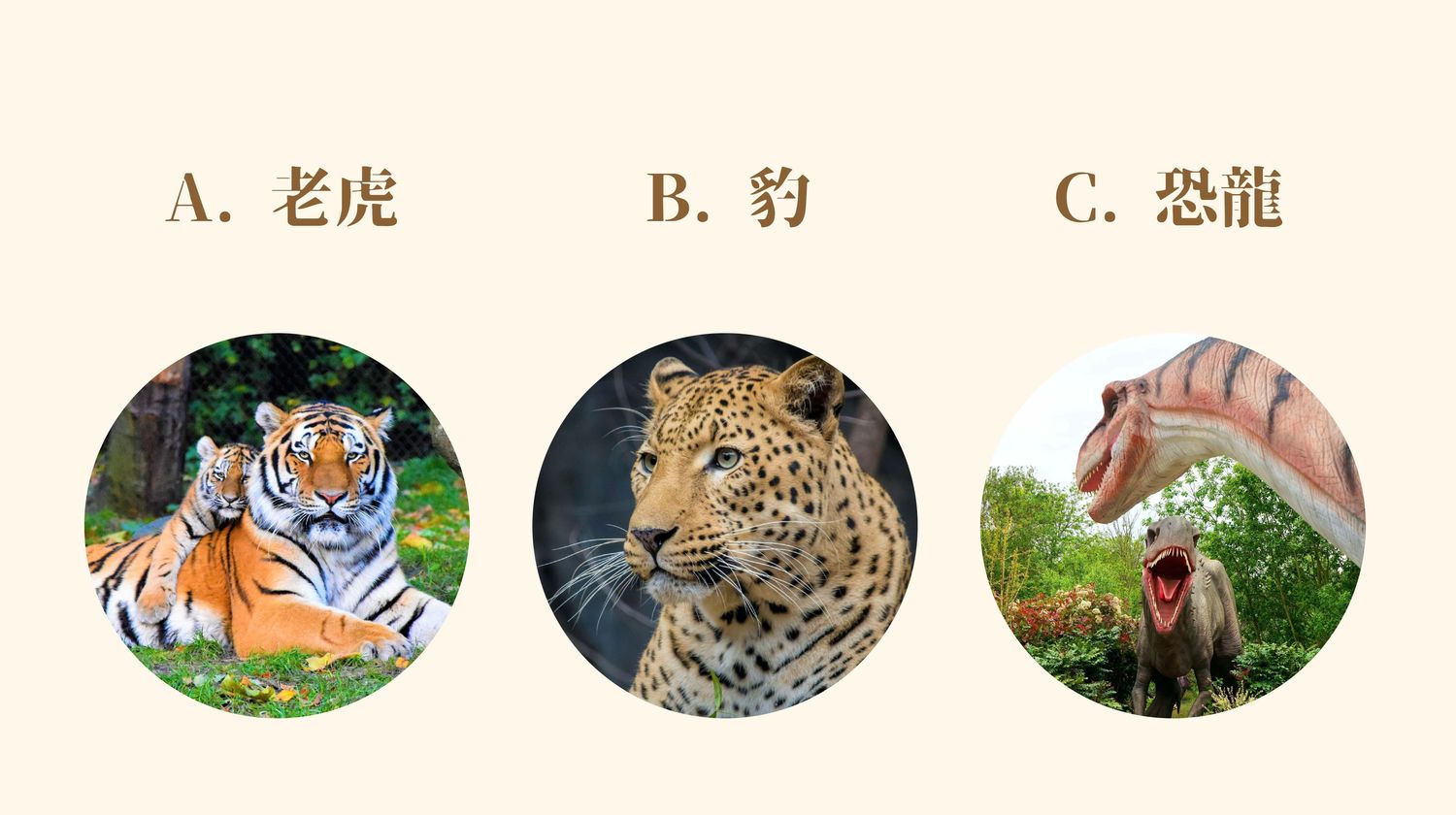 1641828944090044540.jpeg a91f47dd-f43c-491a-98a1-496abe137edc.jpeg