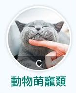 500x500-165-1656563596 (2).jpg