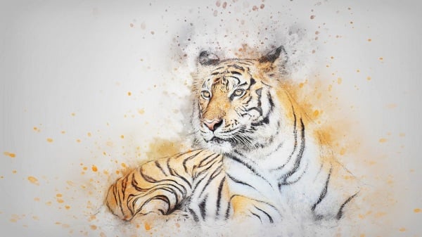 1682561486717026065.jpg p3092141a291278471-ss.jpg